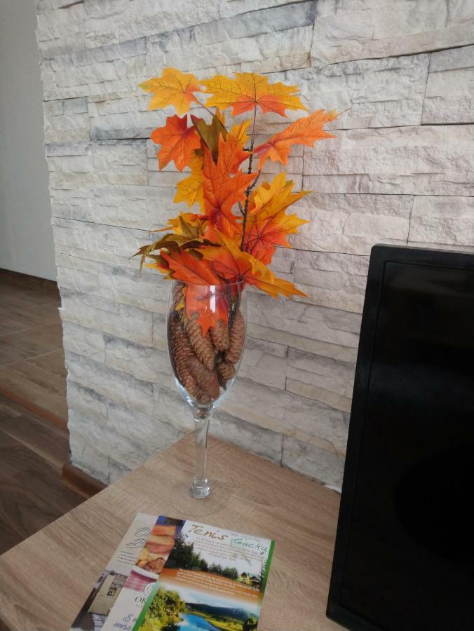 Apartman Danijela Otočac Esterno foto
